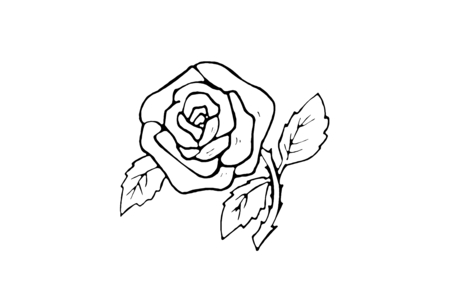 Coloriage Rose 07 – 10doigts.fr